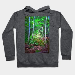 Birch Trees Hoodie